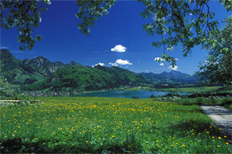 Walchsee-im-Mai